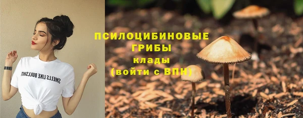 МДПВ Богородицк