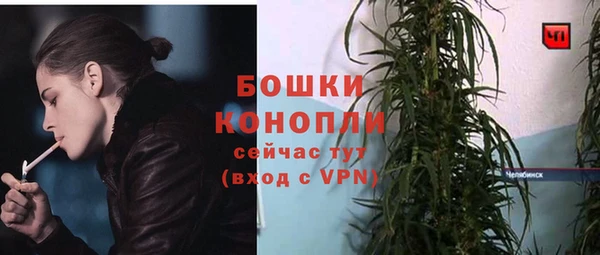 МДПВ Богородицк