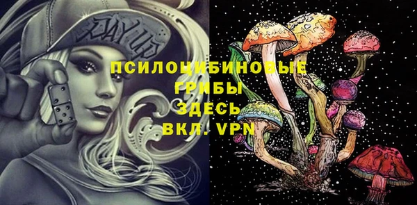 МДПВ Богородицк