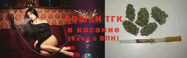 МДПВ Богородицк