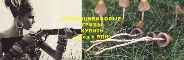 прущие крисы Богородск