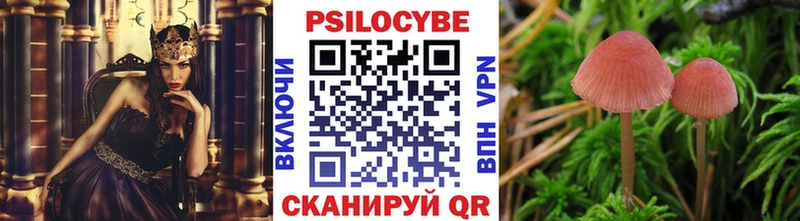Псилоцибиновые грибы мицелий  Батайск 
